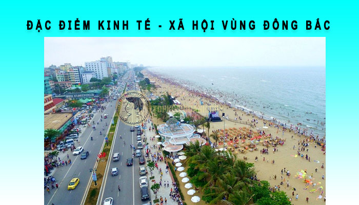đặc điểm kinh tế xã hội vùng đông bắc