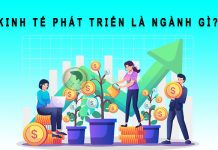 Kinh tế phát triển là ngành gì? Ra trường làm gì? Mức lương bao nhiêu? kinh tế phát triển là ngành gì