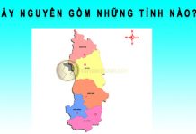 Tây Nguyên gồm những tỉnh nào? tây nguyên gồm những tỉnh nào