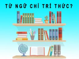 từ ngữ chỉ trí thức