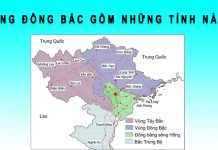 Vùng Đông Bắc gồm những tỉnh nào? vùng đông bắc gồm những tỉnh nào