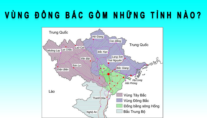 vùng đông bắc gồm những tỉnh nào