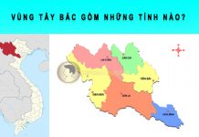 vùng tây bắc gồm những tỉnh nào