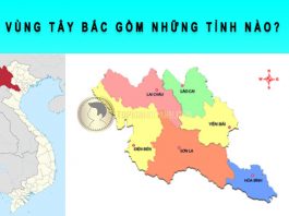 vùng tây bắc gồm những tỉnh nào