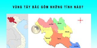 vùng tây bắc gồm những tỉnh nào