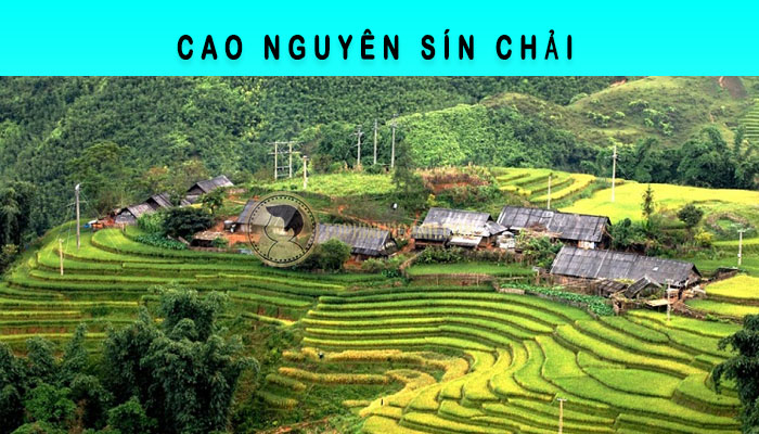 cao nguyen sín chải