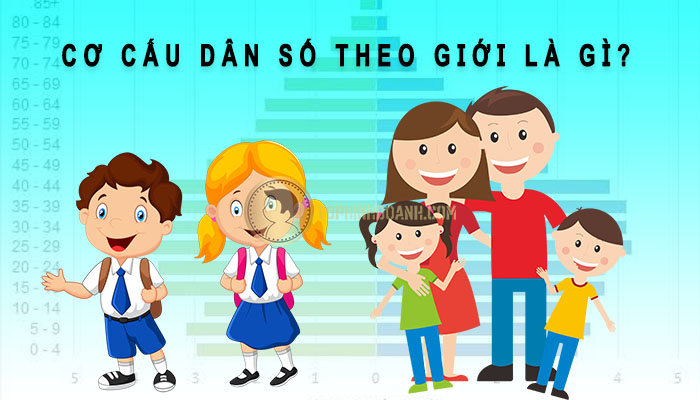 cơ cấu dân số theo giới là gì