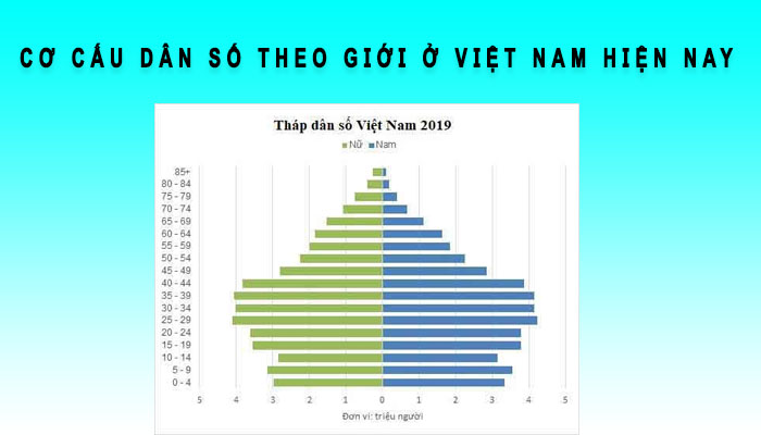 cơ cấu dân số theo giới ở việt nam