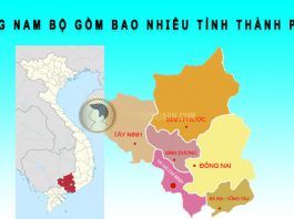 Đông Nam Bộ gồm bao nhiêu tỉnh thành phố? đông nam bộ gồm bao nhiêu tỉnh thành phố