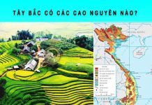 Tây Bắc có các cao nguyên nào? tây bắc có các cao nguyên nào
