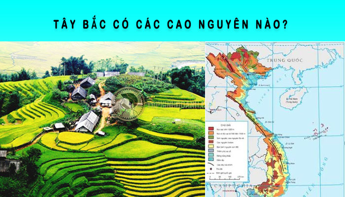 tây bắc có các cao nguyên nào