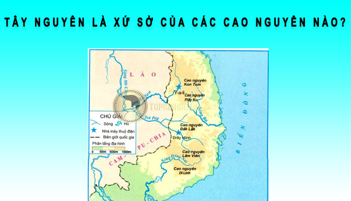 tây nguyên là xứ sở của các cao nguyên nào