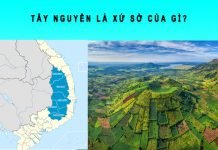 Tây Nguyên là xứ sở của gì? Tây Nguyên là xứ sở của các cao nguyên nào? tây nguyên là xứ sở của gì