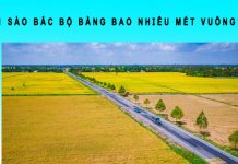 1 sào bắc bộ bằng bao nhiêu mét vuông? 1 sao bắc bộ bằng bao nhiêu mét vuông