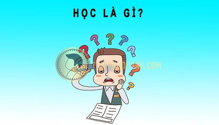học là gì