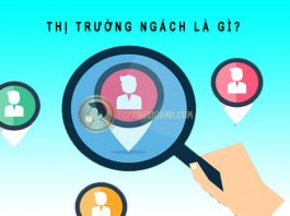 Thị trường ngách là gì? Ví dụ về thị trường ngách thị trường ngách là gì