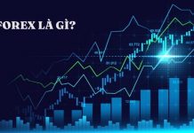 Forex là gì? Sự cuốn hút của Forex với các nhà đầu tư Forex là gì? Sự cuốn hút của Forex với các nhà đầu tư