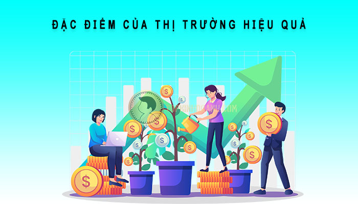 đặc điểm thị trường hiệu quả