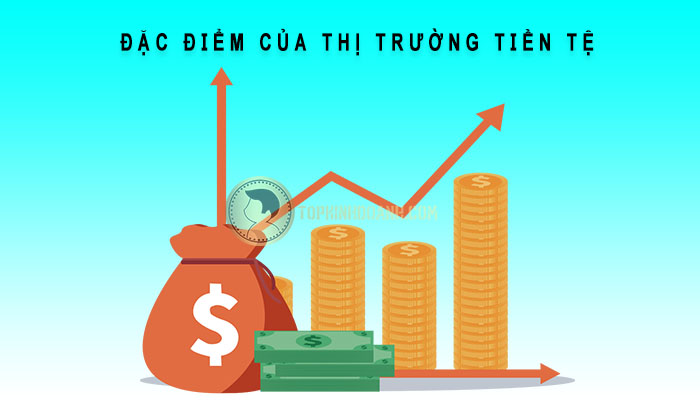 đặc điểm thị trường tiền tệ