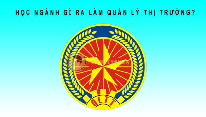 học ngành gì ra làm quản lý thị trường