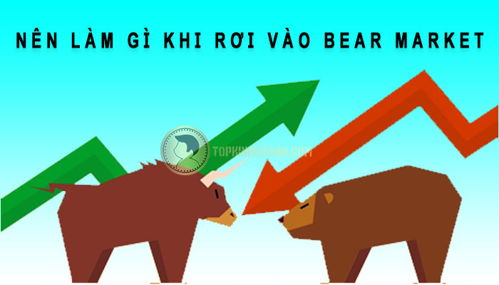 nên làm gì khi rơi vào bear market
