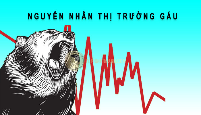 nguyên nhân thị trường gấu