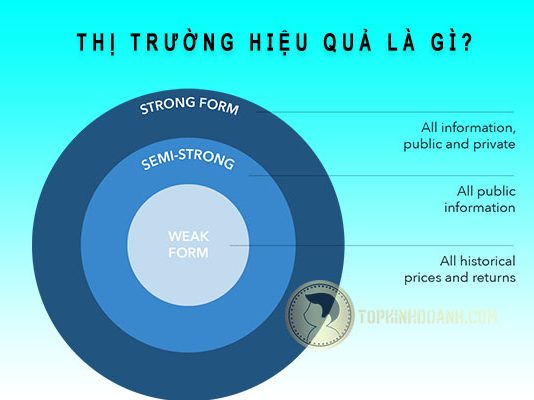 thị trường hiểu quả là gì