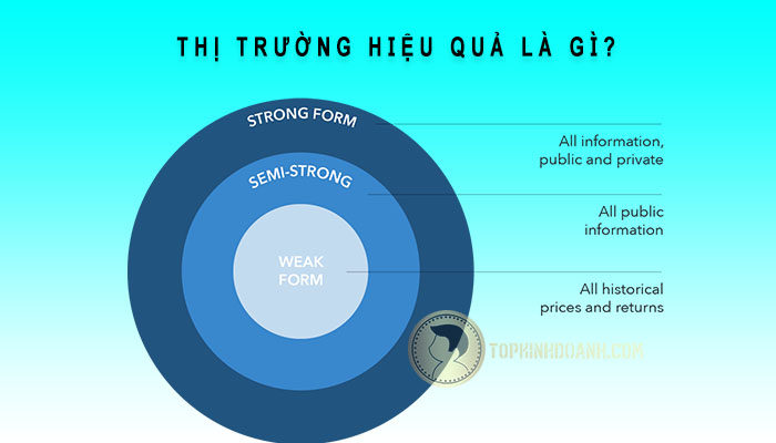 thị trường hiểu quả là gì