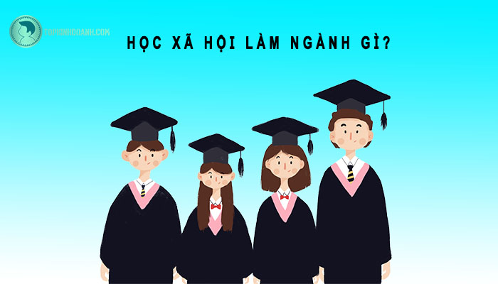 học xã hội ra trường làm gì