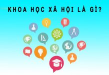 Khoa học xã hội là gì? Gồm những môn nào? khoa học xã hội là gì