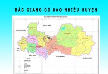Bắc Giang có bao nhiêu huyện? Các xã trong huyện tỉnh Bắc Giang bắc giang có bao nhiêu huyện