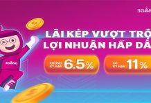 Đầu tư vào 3Gang liệu có rủi ro không? Đầu tư vào 3Gang liệu có rủi ro không