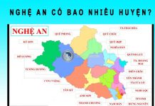 Nghệ An có bao nhiêu huyện? Huyện nào có diện tích lớn và nhỏ nhất Nghệ An có bao nhiêu huyện