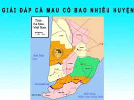 Cà Mau có bao nhiêu huyện? Tên các huyện tại tỉnh Cà Mau Cà Mau có bao nhiêu huyện