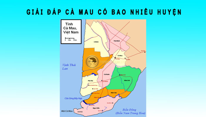 Cà Mau có bao nhiêu huyện