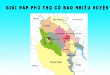 Phú Thọ có bao nhiêu huyện? Tên các huyện của tỉnh Phú Thọ là gì? Phú Thọ có bao nhiêu huyện