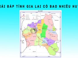 Tỉnh Gia Lai có bao nhiêu huyện? Tên các huyện của Gia Lai Tỉnh Gia Lai có bao nhiêu huyện