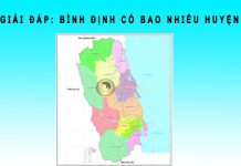 Bình Định có bao nhiêu huyện