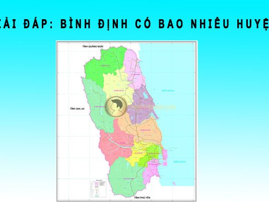 Bình Định có bao nhiêu huyện