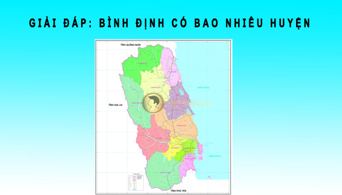 Bình Định có bao nhiêu huyện