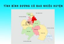 Tỉnh Bình Dương có bao nhiêu huyện? Danh sách các huyện Tỉnh Bình Dương có bao nhiêu huyện