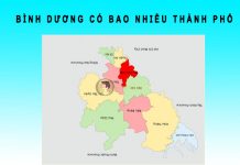 Giải đáp: Tỉnh Bình Dương có bao nhiêu thành phố bình dương có bao nhiêu thành phố