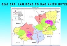 Lâm Đồng có bao nhiêu huyện? Các huyện của Lâm Đồng tên gì Lâm Đồng có bao nhiêu huyện