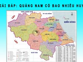 Quảng Nam có bao nhiêu huyện