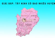 Tây Ninh có bao nhiêu huyện