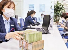 Các Lực Lượng Động Lực Hình Thành Tỷ Giá Hối Đoái Trong Thị Trường Việt Nam Lực Lượng Động Lực Hình Thành Tỷ Giá Hối Đoái